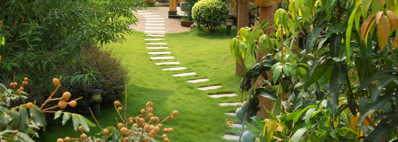 Hoveniersbedrijf van Dam woerden tuin voorbeeld